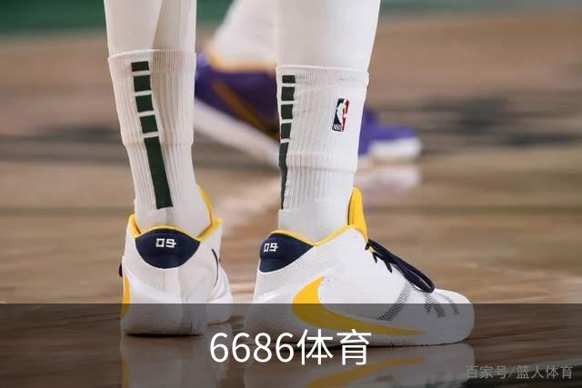 6686体育公司介绍图